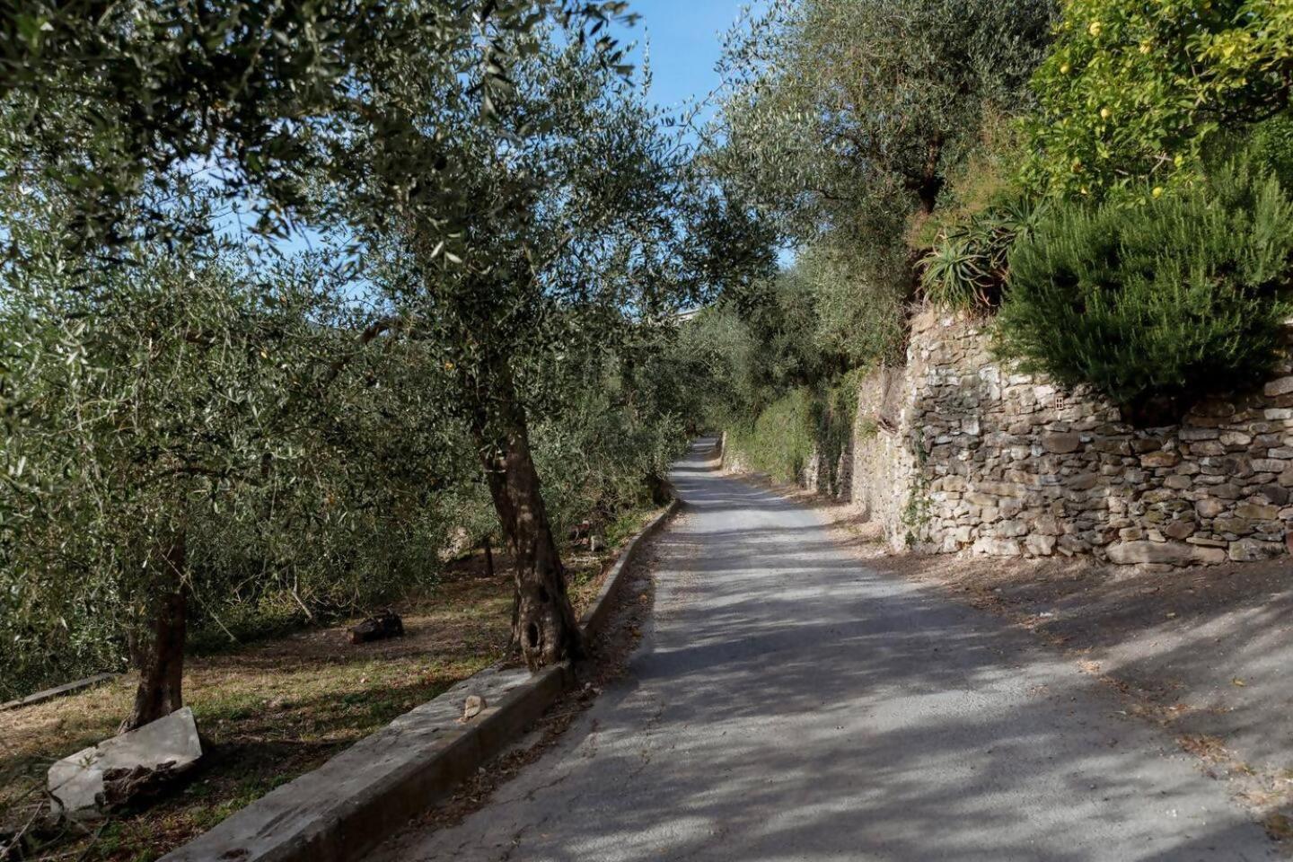 Alba Dachi Farm Apartment