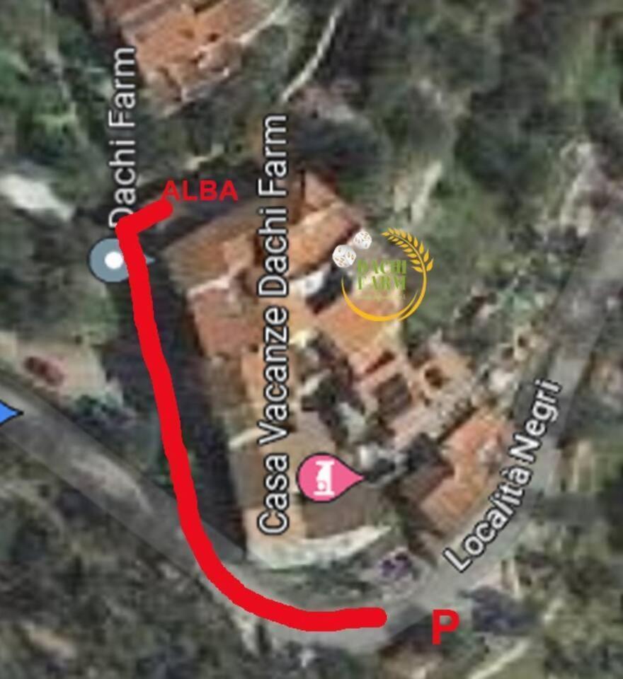 Apartment Alba Dachi Farm Andora