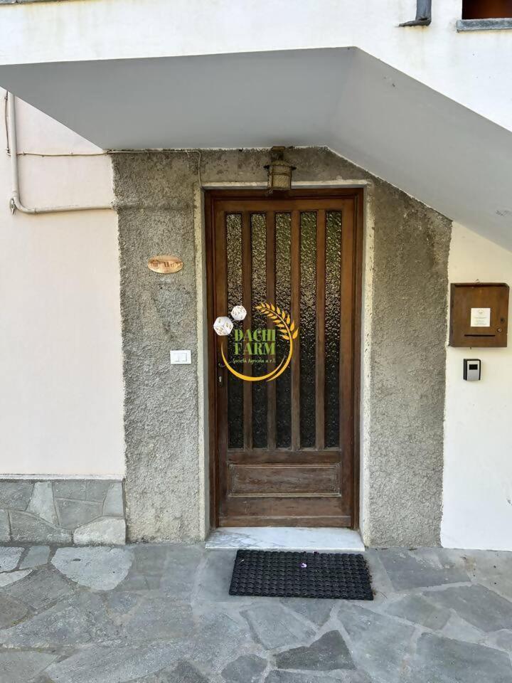 Alba Dachi Farm