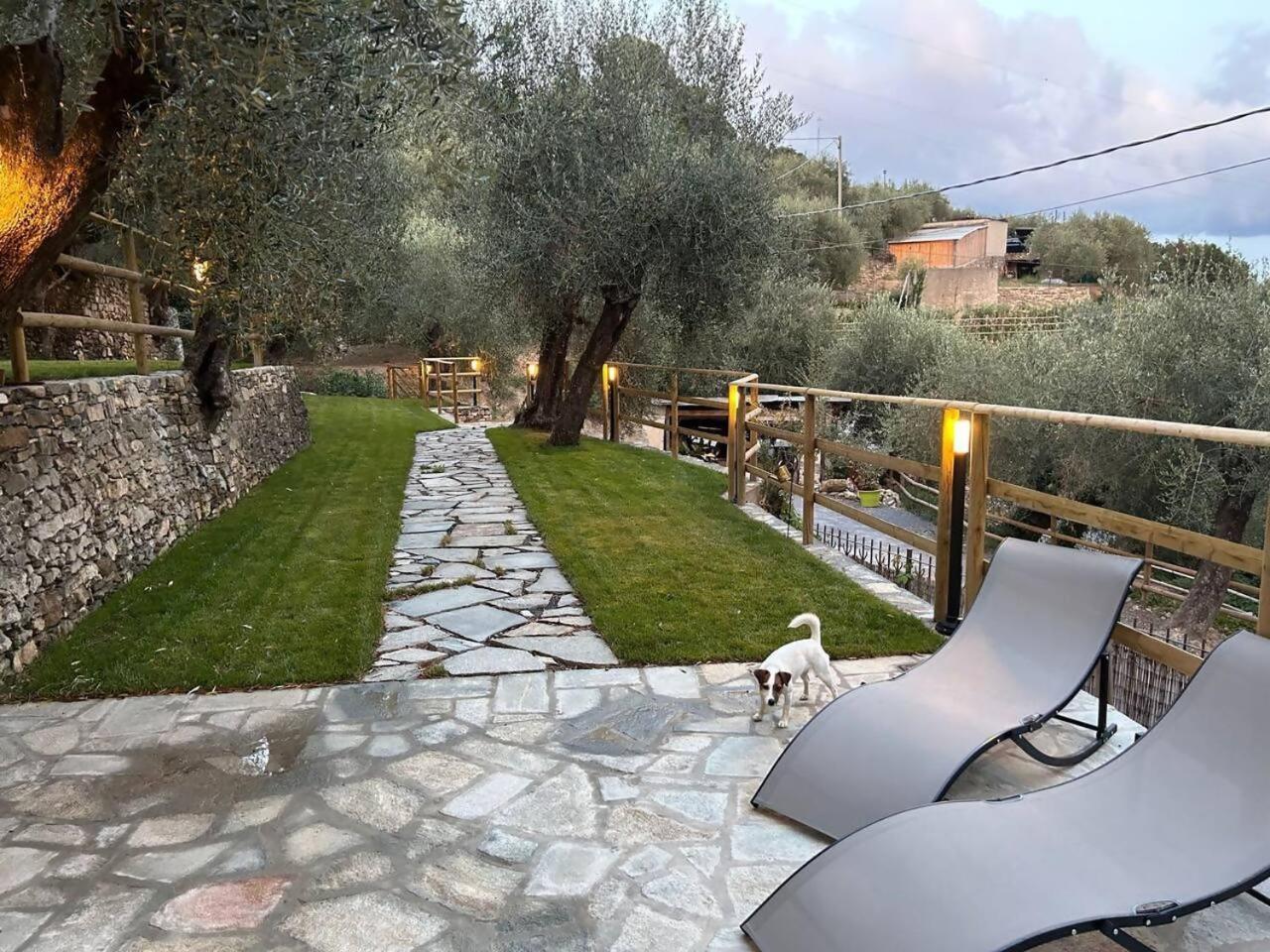 Apartment Alba Dachi Farm