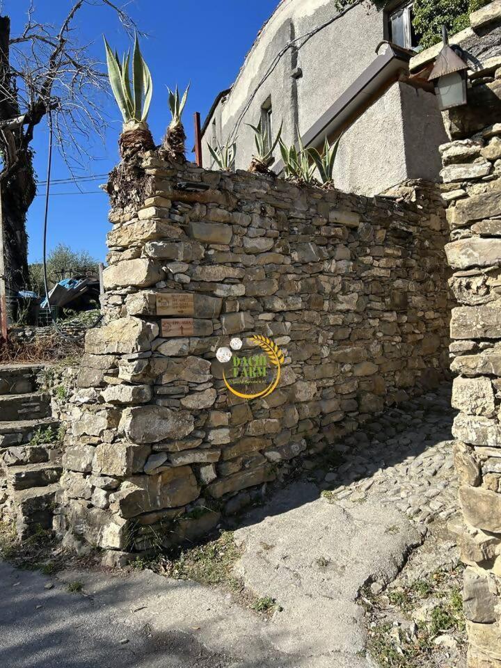 Apartment Alba Dachi Farm Andora