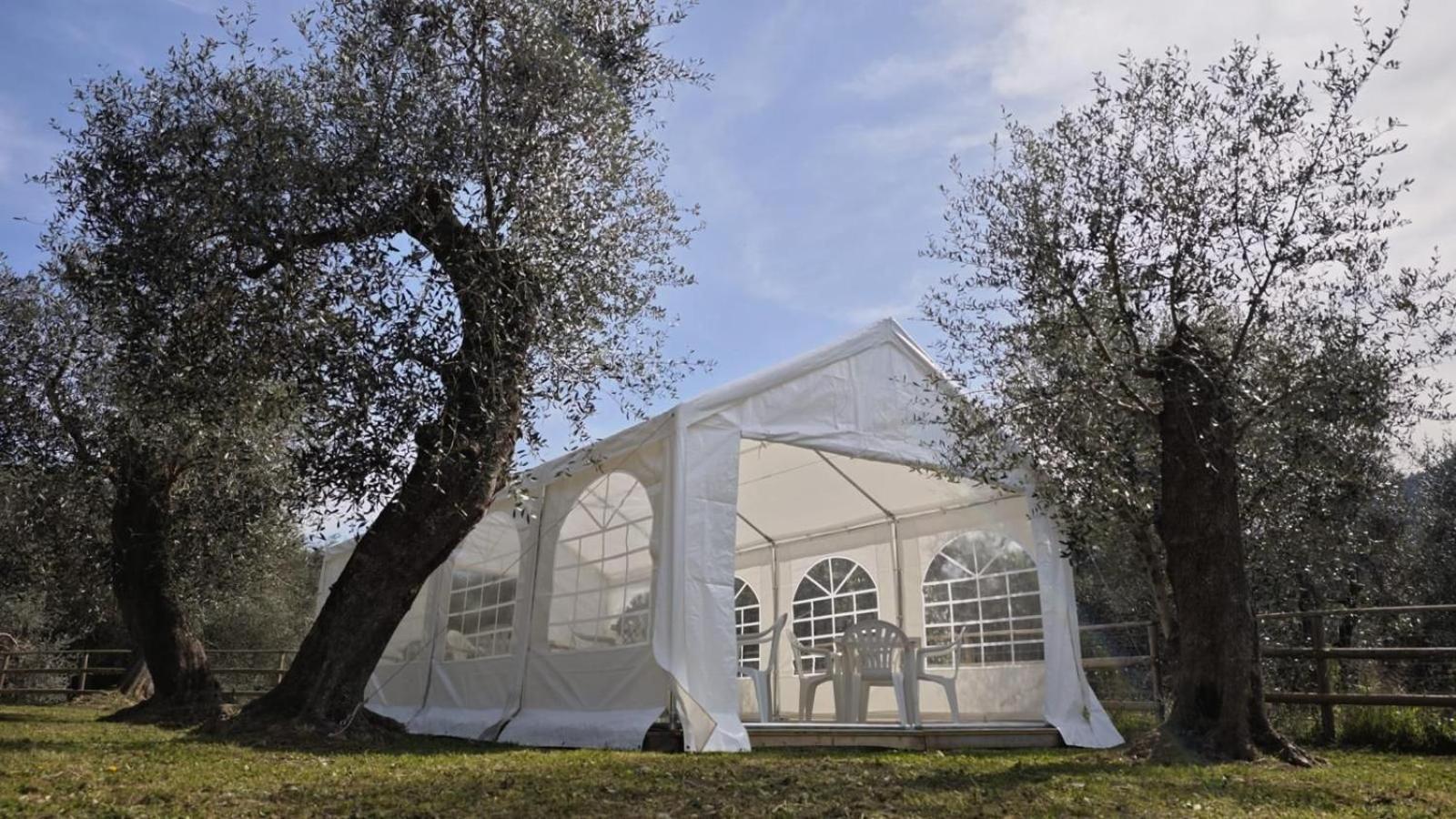 Alba Dachi Farm * Andora