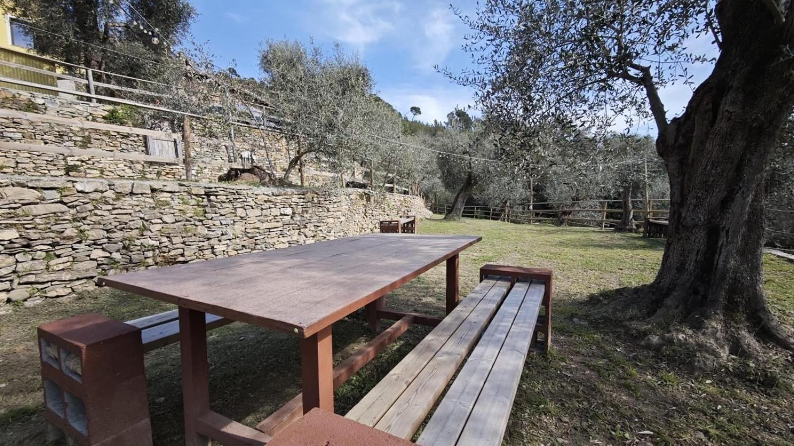Alba Dachi Farm *
