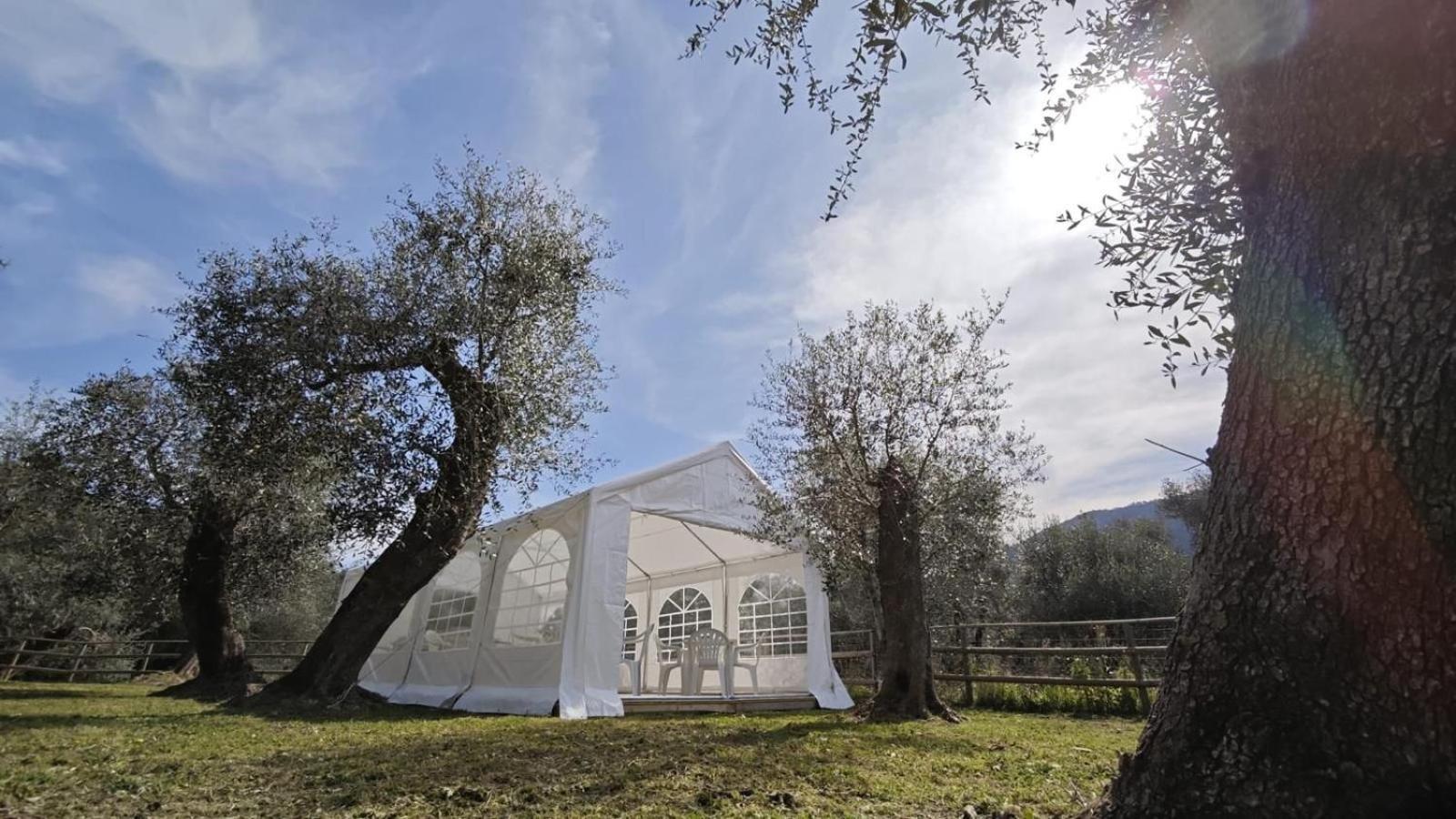 Alba Dachi Farm * Andora